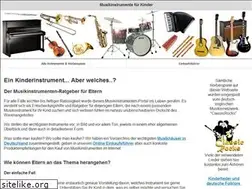 Sites similar to musikinstrumente-fuer-kinder.de