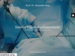 Sites similar to mustafaates.com