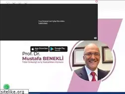Sites similar to mustafabenekli.com
