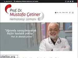 Sites similar to mustafacetiner.com