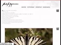 Sites similar to mustafasezen.com