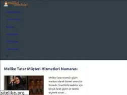 Sites similar to musteritemsilcisi.co