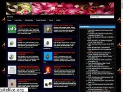Sites similar to mustikabertuahampuh.blogspot.com