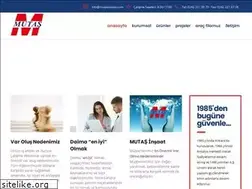 Sites similar to mutasinsaat.com