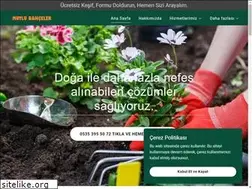 Sites similar to mutlubahceler.com