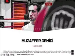Sites similar to muzaffergemici.com