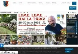 Sites similar to muzeulbucovinei.ro