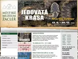 Sites similar to muzeum-zacler.cz