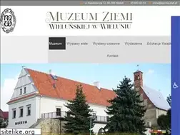 Sites similar to muzeum.wielun.pl