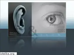 Sites similar to muziekbijbeeld.nl
