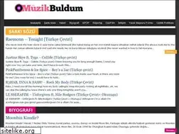 Sites similar to muzikbuldum.com