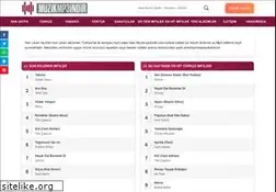 Sites similar to muzikmp3indir.com