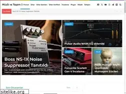Sites similar to muzikveyasam.com