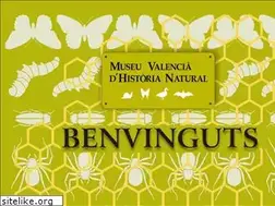 Sites similar to mvhn.es