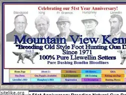 Sites similar to mvsetters.com
