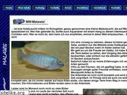 Sites similar to mw-malawis.de