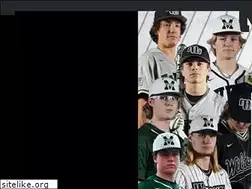 Sites similar to mwcatsbaseball.org