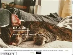 Sites similar to mxb.de