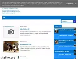 Sites similar to my-dogphotos.blogspot.com