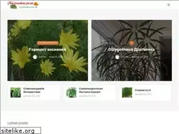 Sites similar to my-flowers.com.ua