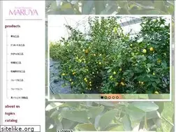 Sites similar to my-maruya.jp