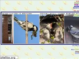 Sites similar to my-panorama.com
