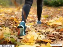 Sites similar to myaloevera.dk