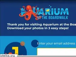 Sites similar to myaquariumphotos.com