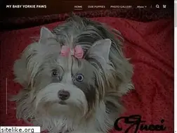 Sites similar to mybabyyorkiepaws.com