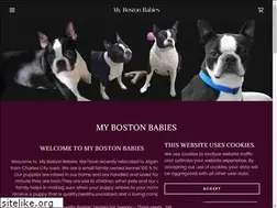 Sites similar to mybostonbabies.com