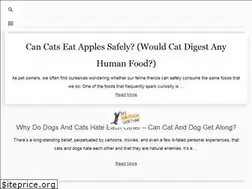 Sites similar to mybritishshorthair.com