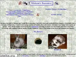 Sites similar to mybunnies.com