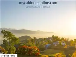 Sites similar to mycabinetsonline.com