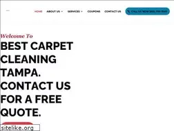 Sites similar to mycarpetcleaningtampa.com