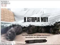 Sites similar to mycat.gr