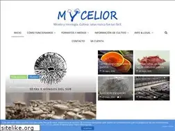 Sites similar to mycelior.com