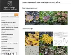 Sites similar to mycology.su