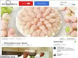 Sites similar to mycooktes.ru