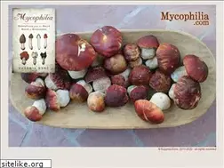 Sites similar to mycophilia.com