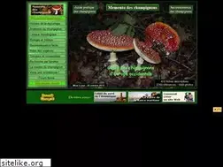 Sites similar to mycorance.free.fr