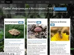 Sites similar to mycoweb.ru