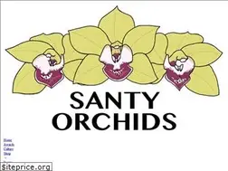 Sites similar to mycymbidiums.com