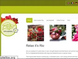 Sites similar to myfavouriterio.com