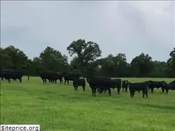 Sites similar to myflfarmtotable.com
