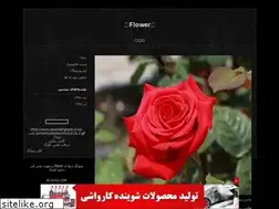 Sites similar to myflower125.blogfa.com