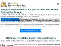 Sites similar to mygoldenretrieverpuppies.com