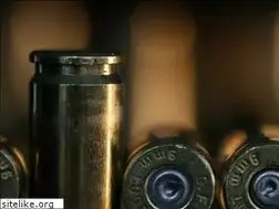 Sites similar to mygun.eu