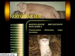 Sites similar to myhomecat.ru