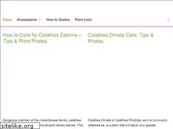 Sites similar to mylittlejungle.com