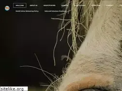Sites similar to mylovelyhorserescue.com